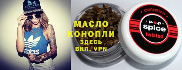 крисы Абаза