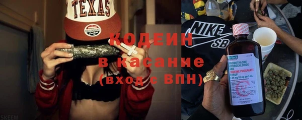 крисы Абаза