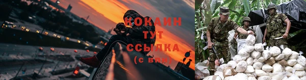 дживик Алзамай