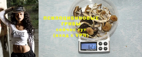крисы Абаза
