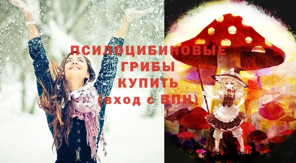 крисы Абаза