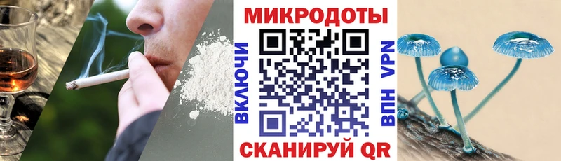 Галлюциногенные грибы Psilocybine cubensis Грайворон