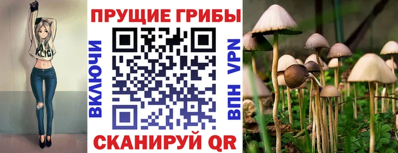 Псилоцибиновые грибы MAGIC MUSHROOMS  кракен зеркало  Грайворон 
